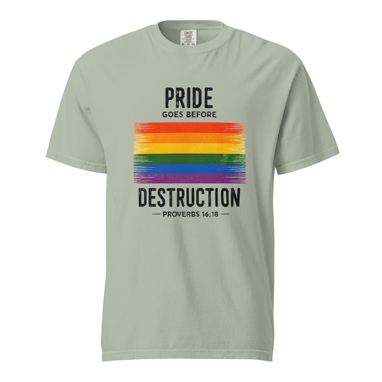 Pride Goes Before Destruction T-shirt