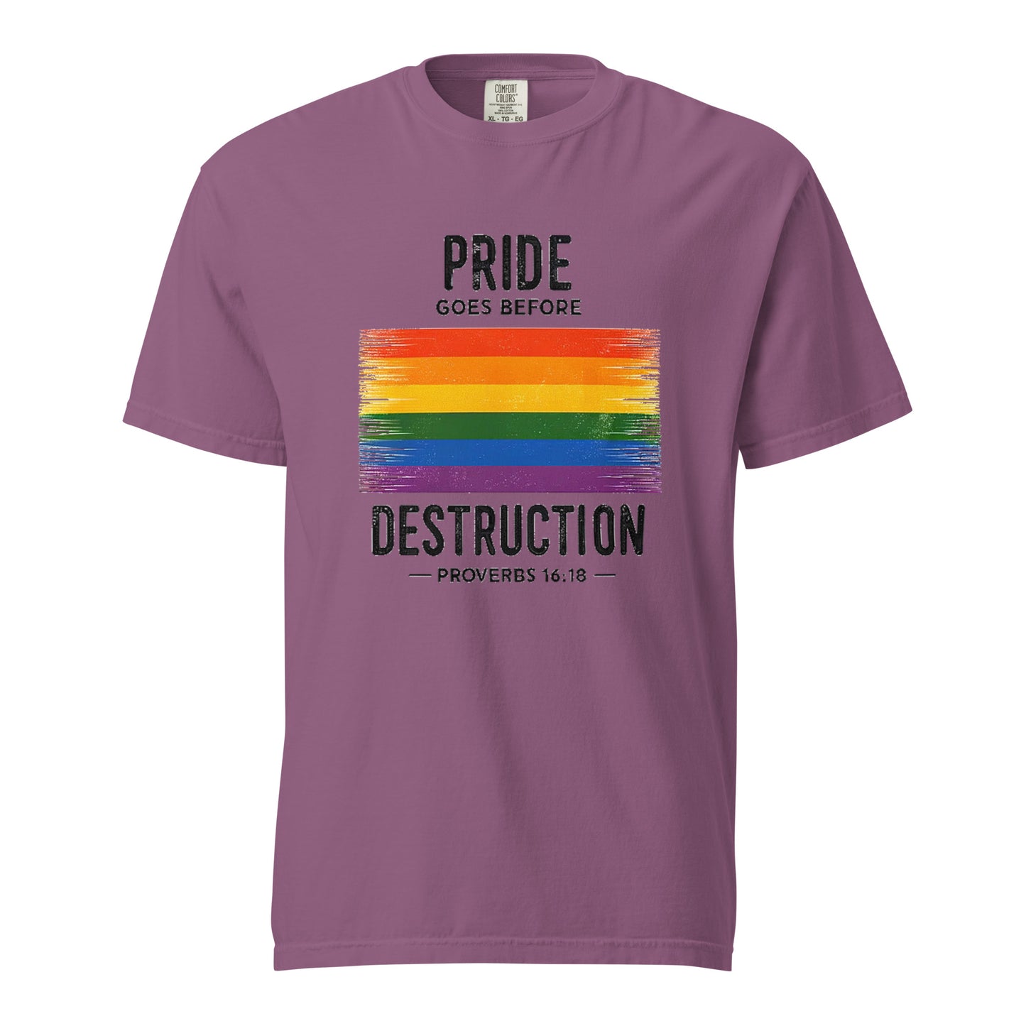 Pride Goes Before Destruction T-shirt