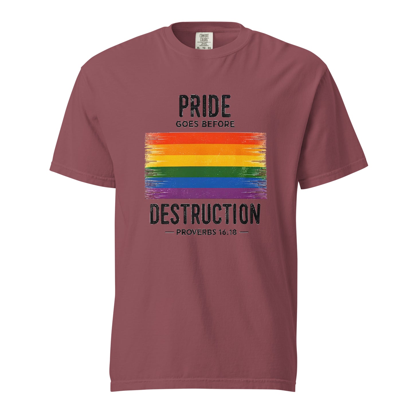 Pride Goes Before Destruction T-shirt