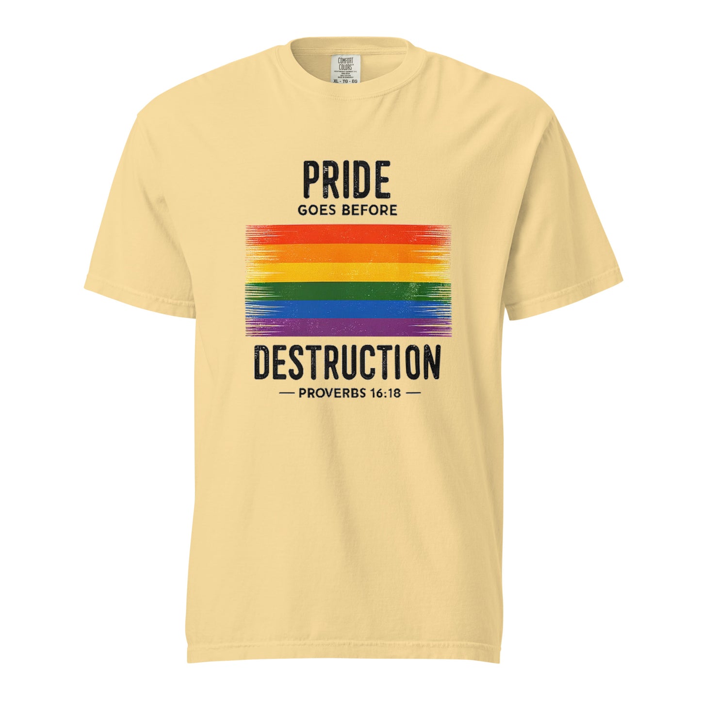 Pride Goes Before Destruction T-shirt