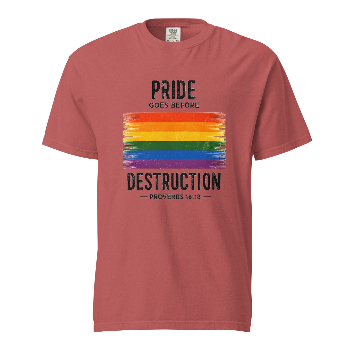 Pride Goes Before Destruction T-shirt