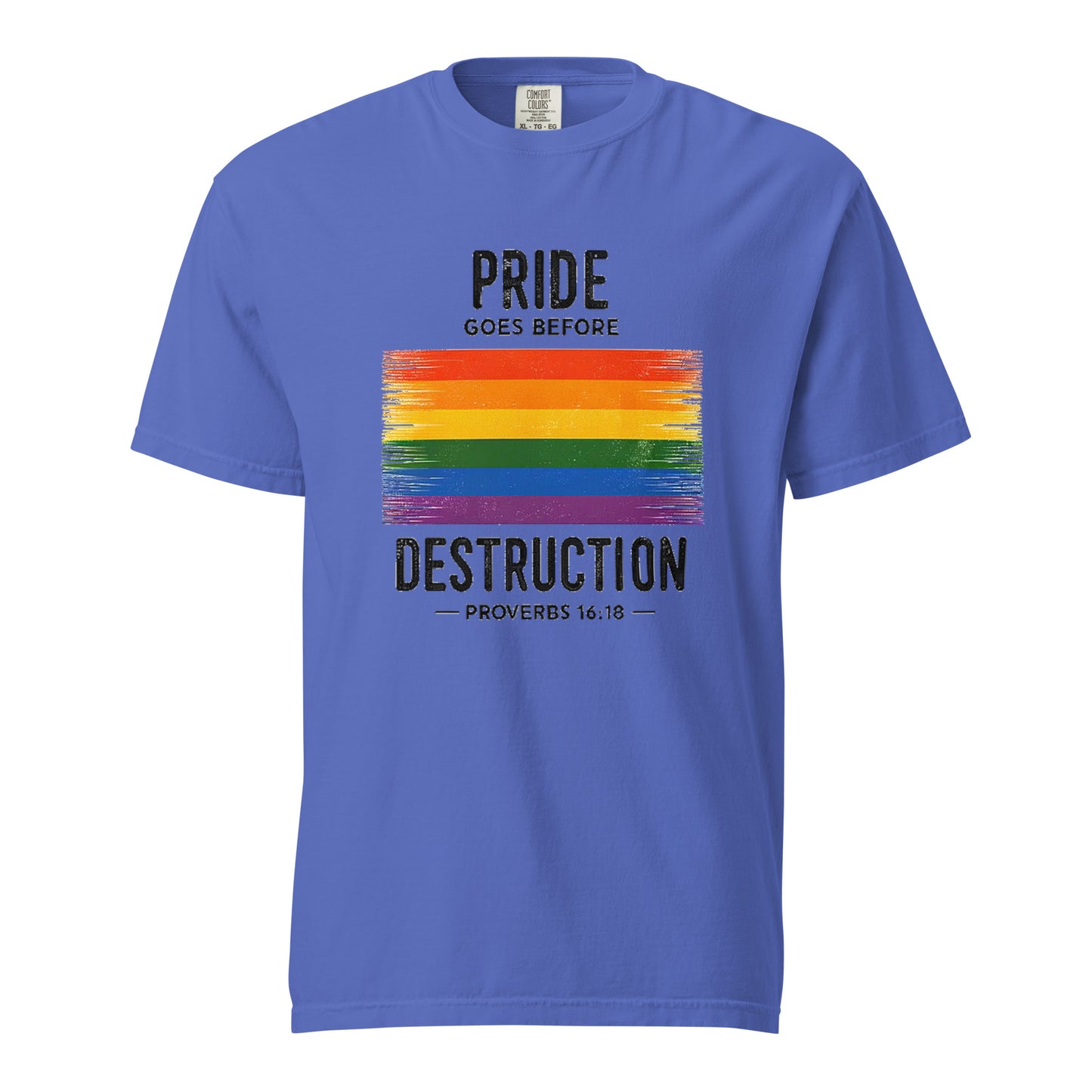 Pride Goes Before Destruction T-shirt