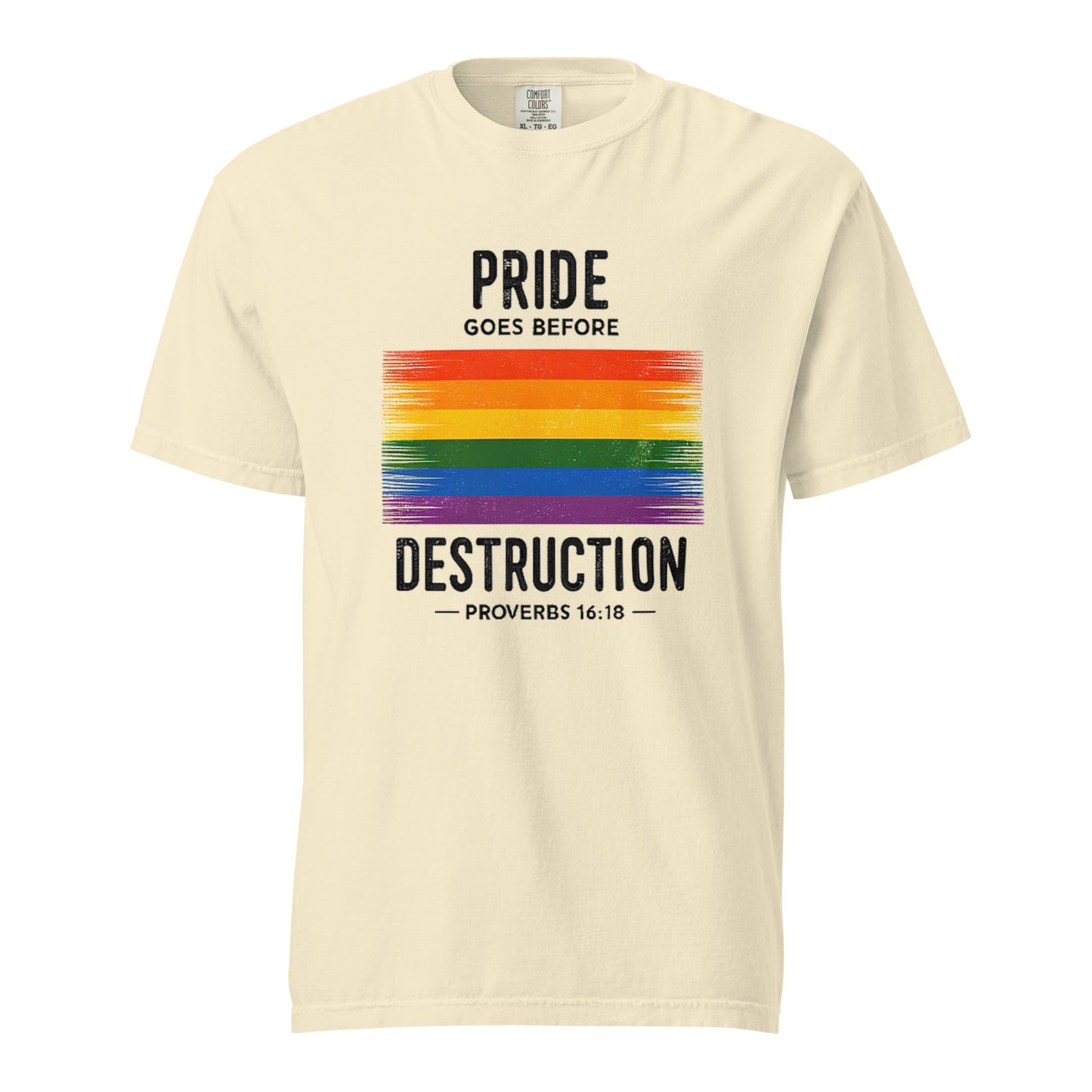 Pride Goes Before Destruction T-shirt