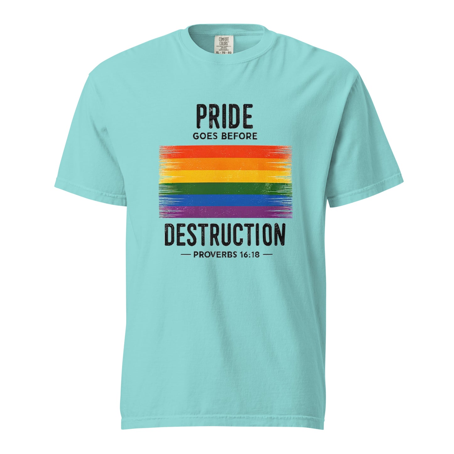 Pride Goes Before Destruction T-shirt