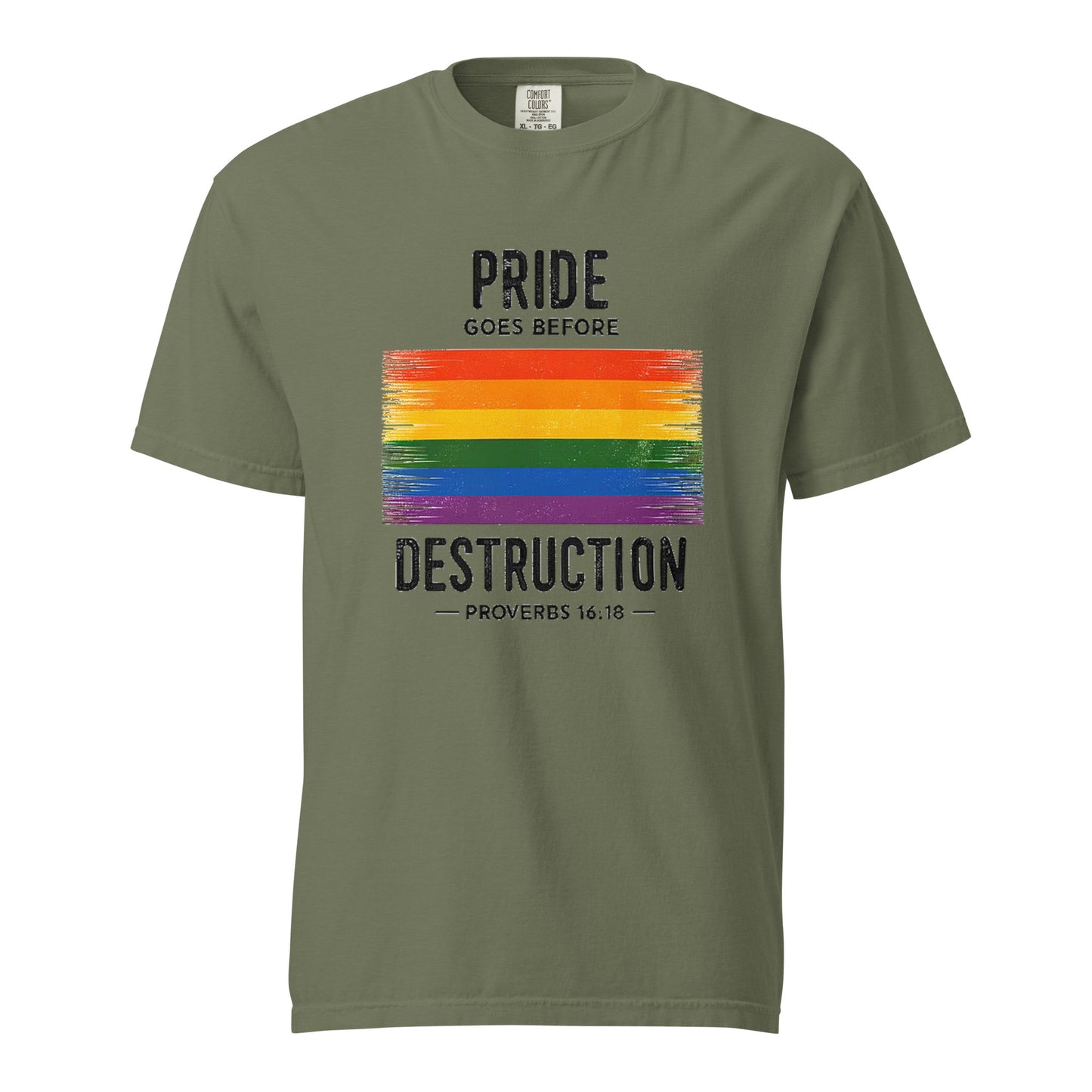Pride Goes Before Destruction T-shirt