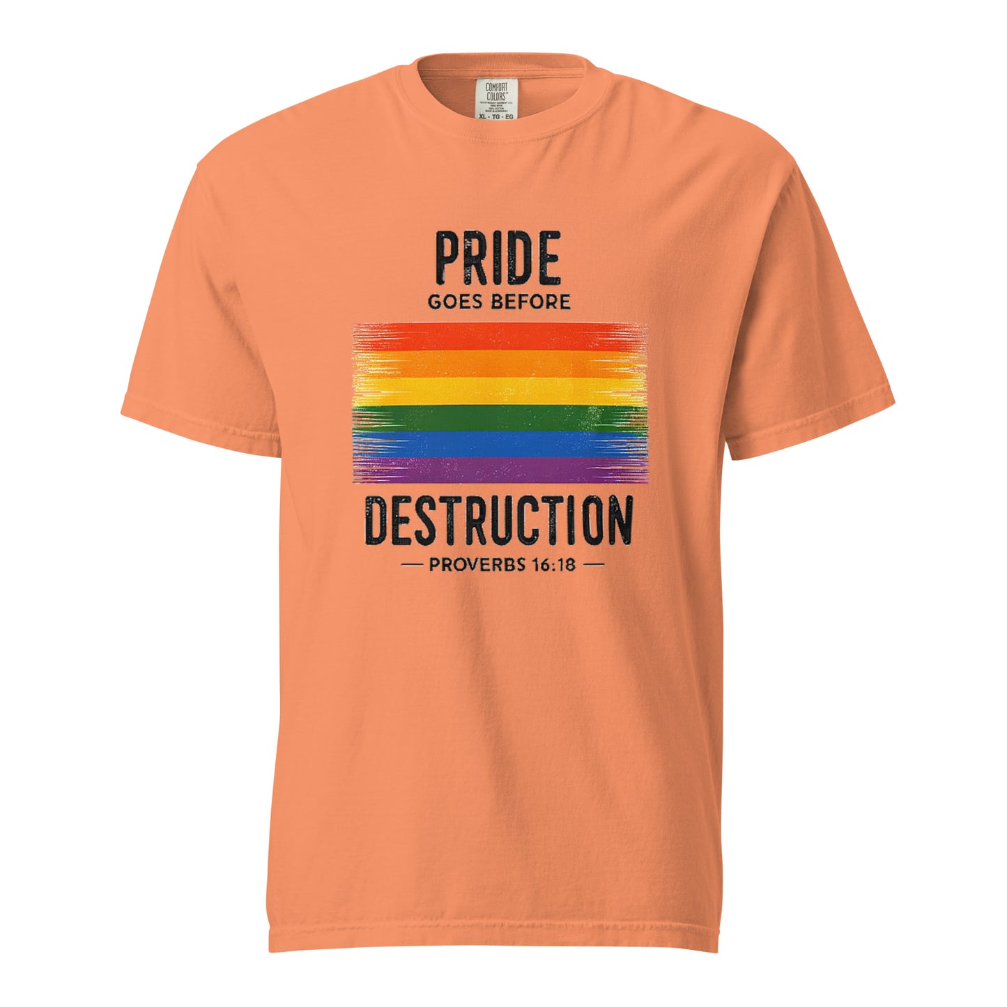 Pride Goes Before Destruction T-shirt