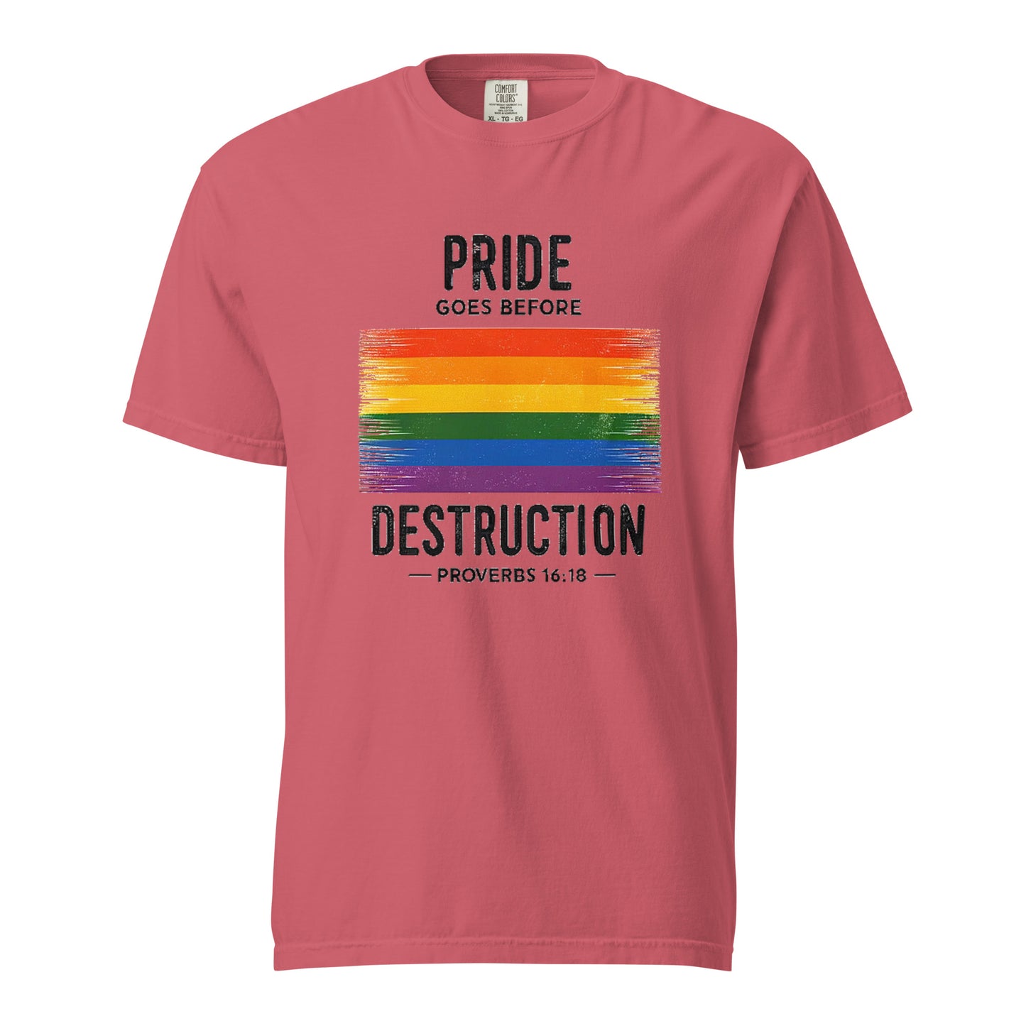 Pride Goes Before Destruction T-shirt