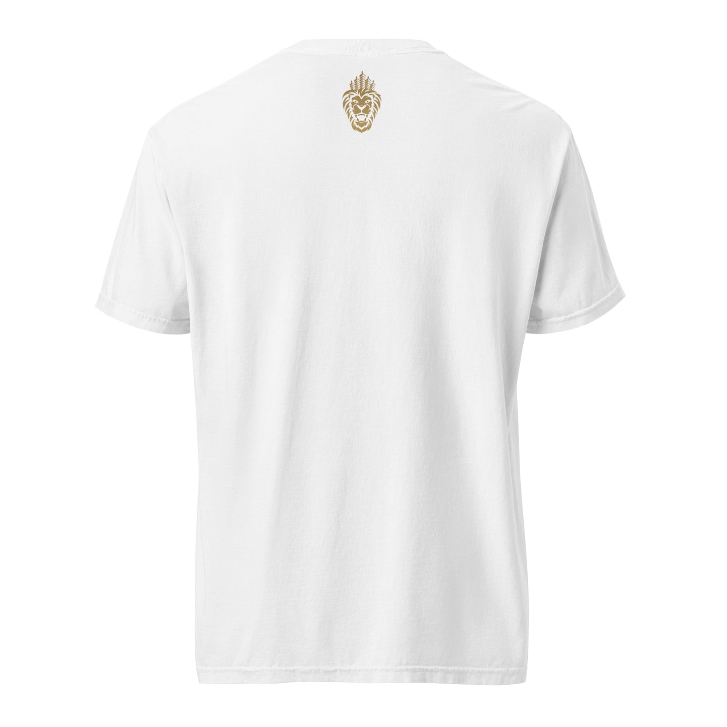 Lion of Judah - Lord of the Earth T-shirt
