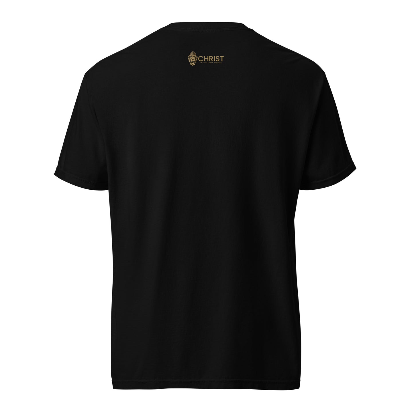 Pride is Sin T-shirt