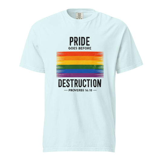 Pride Goes Before Destruction T-shirt